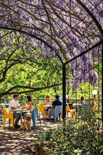 a group of people sitting at tables in a garden with a dog at Appart'Hotel-Restaurant Castel Emeraude in Amélie-les-Bains-Palalda