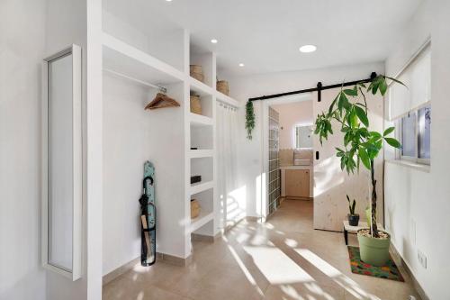 a hallway with white walls and a potted plant at Moncoração Village in Moncarapacho