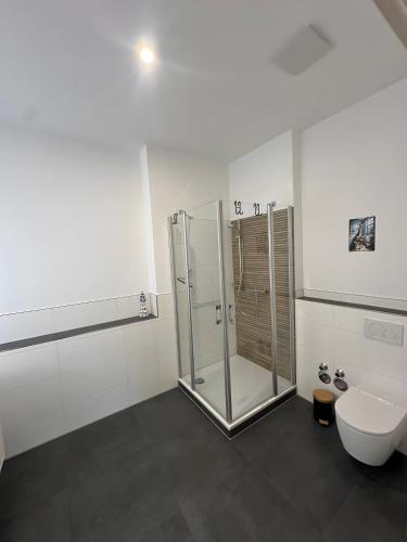 a bathroom with a shower and a toilet at Ferienwohnung Derday im Schuttertal in Schuttertal