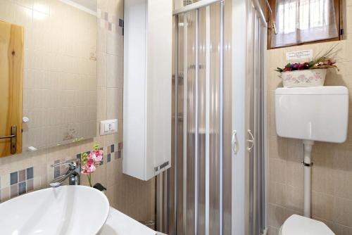 a bathroom with a toilet and a sink at Ciasa de Lucky in Moena