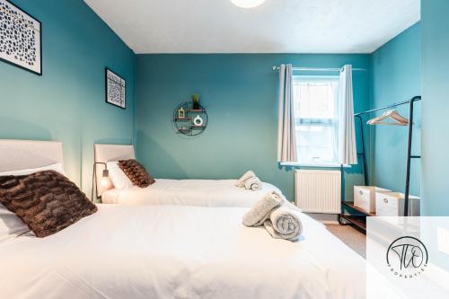 two beds in a room with blue walls at Shamrock House in Ipswich