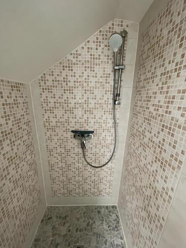 a bathroom with a shower with tiled walls at Logement Cosy centre Joigny C4 in Joigny