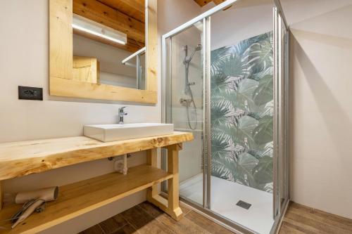 a bathroom with a sink and a shower at Casa al Mulino 2 in Tenno