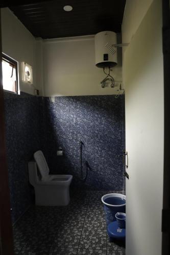 a bathroom with a toilet and a sink in it at Sangti River Front Homestay in Dirang Dzong