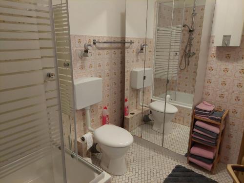 a bathroom with a toilet and a sink and a shower at Ferienwohnung Sander mit Innenpool in Möhnesee