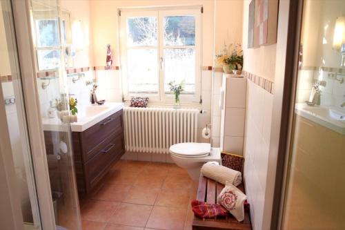 a bathroom with a toilet and a sink and a window at Luise Im Künstlerhaus in Langmühle