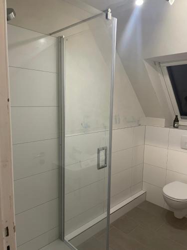 a bathroom with a shower and a toilet at Ferienwohnung Moin in Schönwalde am Bungsberg