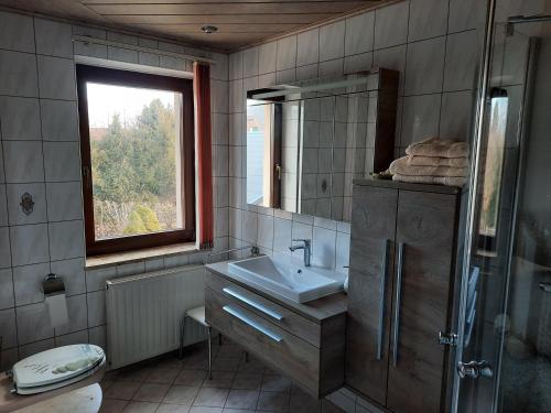 a bathroom with a sink and a mirror at Ferienwohnung Börner in Frauenstein