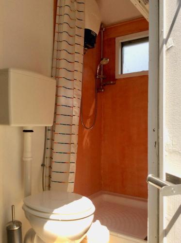 a bathroom with a toilet and a shower at Traumwagen an der Mühle in Thalingburen