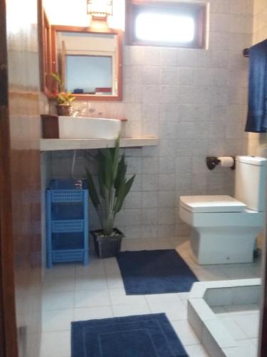 a bathroom with a sink and a toilet and a mirror at Gasthaus Langeoog in Unawatuna