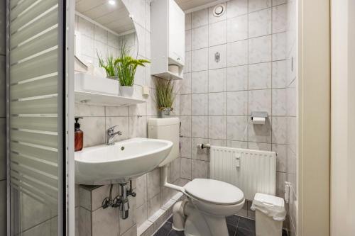 a small bathroom with a toilet and a sink at Backbordkajüte am Steinhuder Meer in Wunstorf