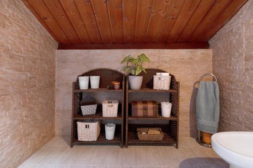 a bathroom with a shelf with baskets and a plant at Duplex India in Tacoronte