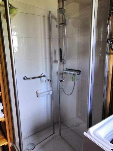 a shower with a glass door in a bathroom at Haus Paradiesecke in Waldbrunn