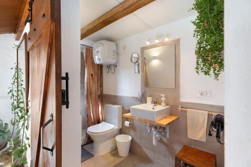 a bathroom with a sink and a toilet and a mirror at Casa Tajaraste 2 in Hermigua