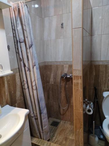 a bathroom with a shower with a sink and a toilet at Stan na dan in Svilajnac