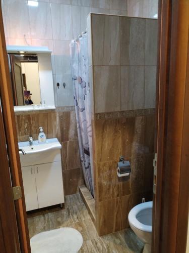 a bathroom with a toilet and a sink and a shower at Stan na dan in Svilajnac