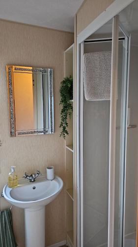 a bathroom with a sink and a shower with a mirror at Seagulls Sunrise in Seasalter