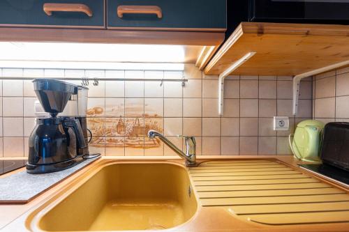a kitchen counter with a sink and a mixer at Appartement Résidence Ours Blanc in Les Houches