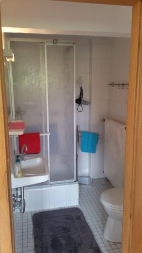 a bathroom with a shower and a toilet and a sink at Haus Moselschleife in Bremm