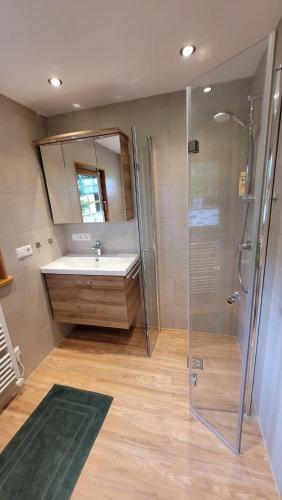a bathroom with a sink and a shower at Bienenhaus in Dornhan