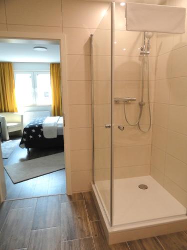 a shower with a glass door in a bathroom at Karins Pension in Lampertheim