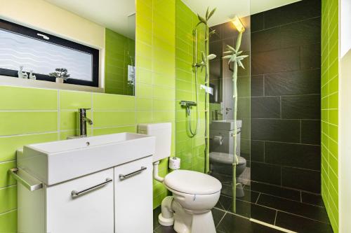 a green bathroom with a toilet and a sink at Nova Ferienhaus, 50qm in Ueckermünde