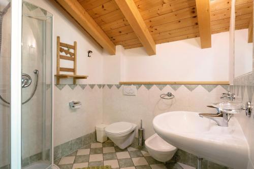 a bathroom with a sink and a toilet and a shower at Paracia App Pic Pec in Badia