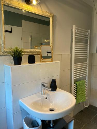 a bathroom with a sink and a mirror at Zum Kölpiensee in Peenemünde