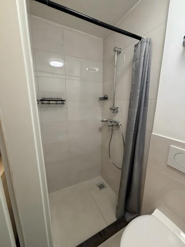 a bathroom with a shower and a toilet at Menzel Appartment W1 in Beckingen
