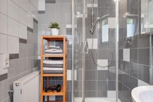 a bathroom with a shower and a shelf with towels at Ferienwohnung Landliebe in Biederbach Baden-Württemberg