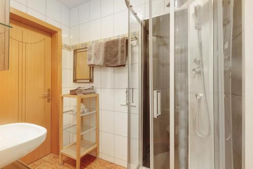 a bathroom with a shower and a sink at Ferien im Grünen in Mammelzen