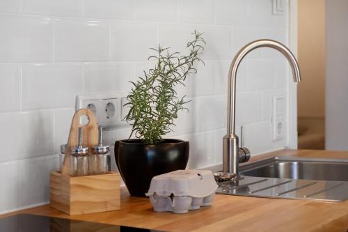 a kitchen counter with a sink and a potted plant at Bachblick in Buchenbach