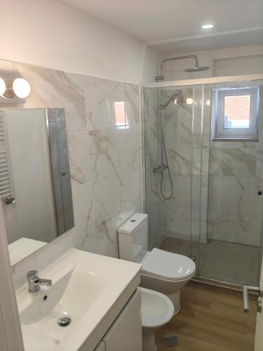 a bathroom with a toilet and a shower and a sink at Maia House da Piscina in Folgosa