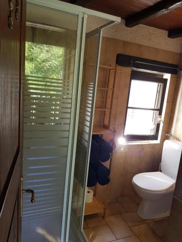 a bathroom with a toilet and a glass shower door at Casa Piccola in Falmenta