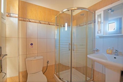a bathroom with a shower and a toilet and a sink at Villa Pepy Studio 3 in Mesongi