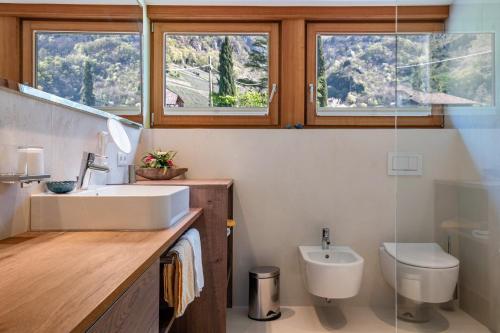 a bathroom with a sink and a toilet and windows at Haus Rosengarten Apt D in Terlano