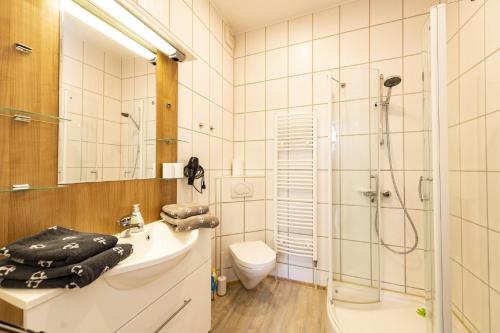 a bathroom with a shower and a sink and a toilet at Ferienwohnungen Wiese - Nickel 2 in Arnis