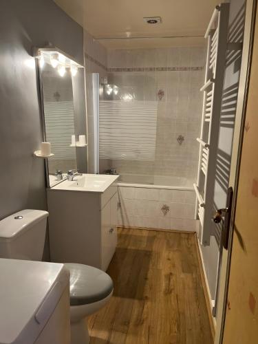 a bathroom with a toilet and a sink and a tub at Chez Manon in Massangis
