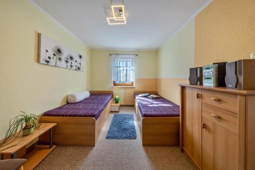 a small room with two beds and a tv at Pillnitzer Schlossblick in Dresden