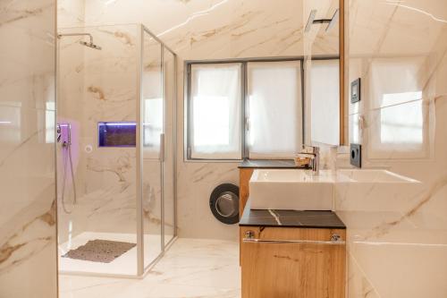 a bathroom with a sink and a shower at Alpen Blumen in San Lorenzo in Banale