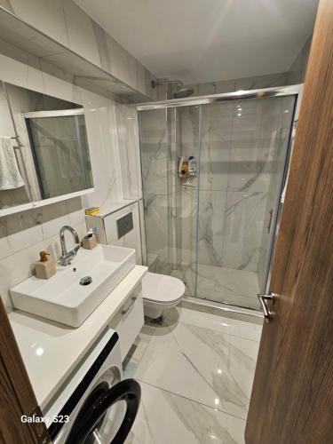 a bathroom with a shower and a sink and a toilet at Blue Wave in Paralia Katerinis