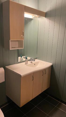 a bathroom with a sink and a mirror at Lemonsjøen, Jotunheimen in Vaga