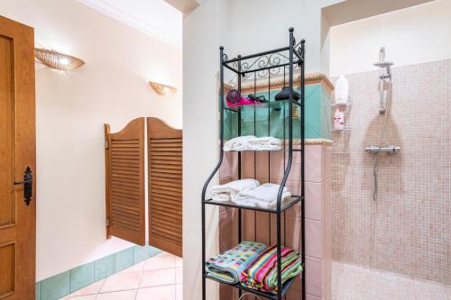 ein Badezimmer mit Dusche und Handtuchhalter in der Unterkunft Villa Laforge in Carmona