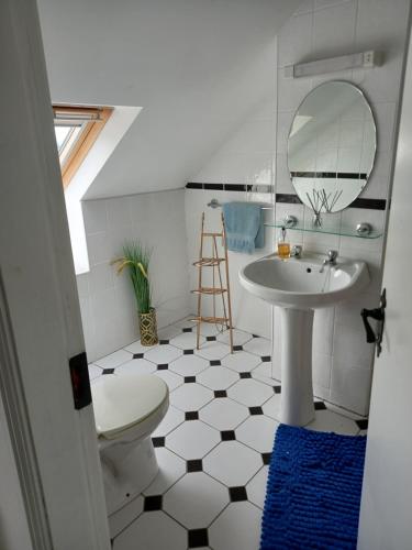 a bathroom with a sink and a toilet and a mirror at Townhouse in Castleisland