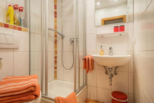 a bathroom with a shower and a sink at Ferienwohnung Steinhilber 2 in Eriskirch