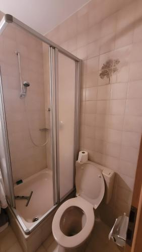 a bathroom with a shower and a toilet and a shower at Fe-Wo Berg und See in Hauzenberg