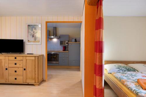 a bedroom with a bed and a television on a dresser at Ferienwohnung im alten Vierseithof in Friedewald