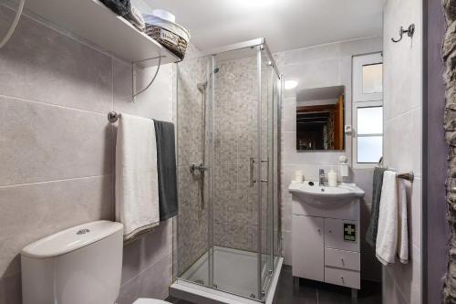 a bathroom with a shower and a toilet and a sink at Villa Rústica - Casa da Lurdes in Ribeira Brava