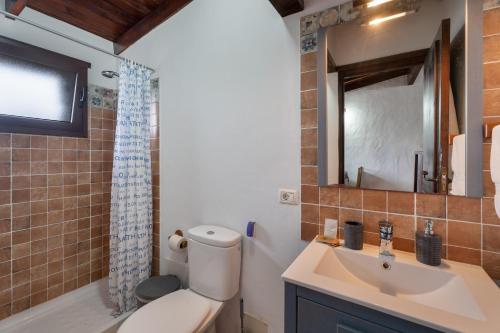 a bathroom with a toilet and a sink and a mirror at Tesbabo Rural - Camelia in Mocanal