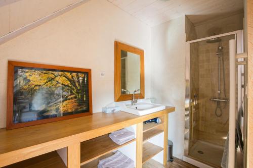 a bathroom with a sink and a mirror and a shower at Moulin du Tourous - Chambre 1 in Plouédern